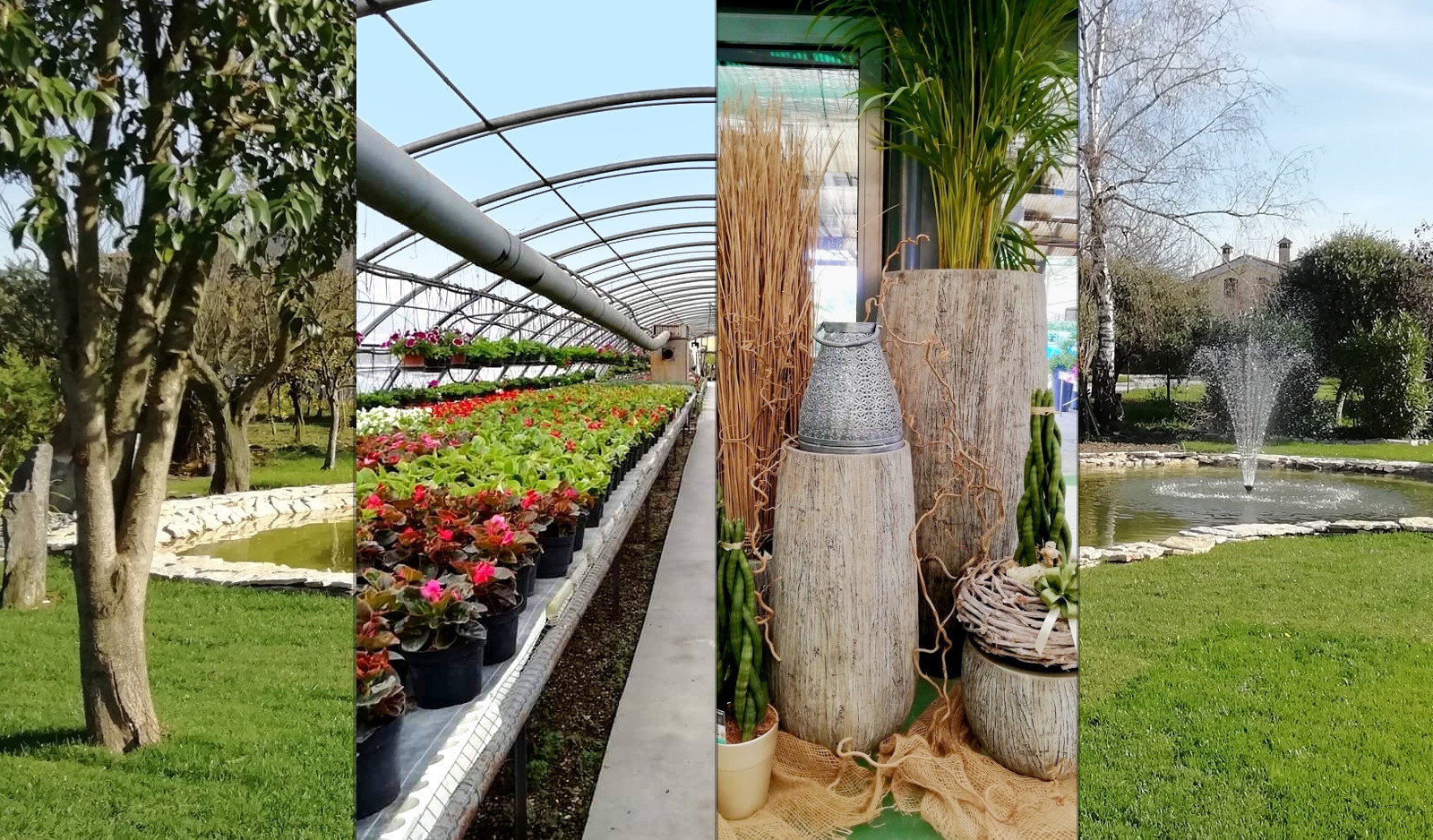 Lovisetto Floricoltura E Giardinaggio a Padova